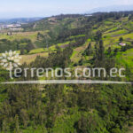 Vista adicional de terreno en venta en Pifo, Quito, Pichincha