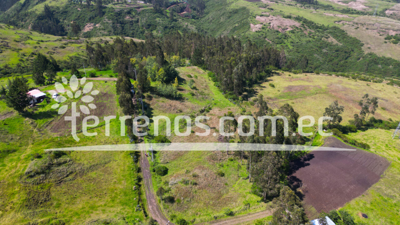 Mesa de trabajo 13