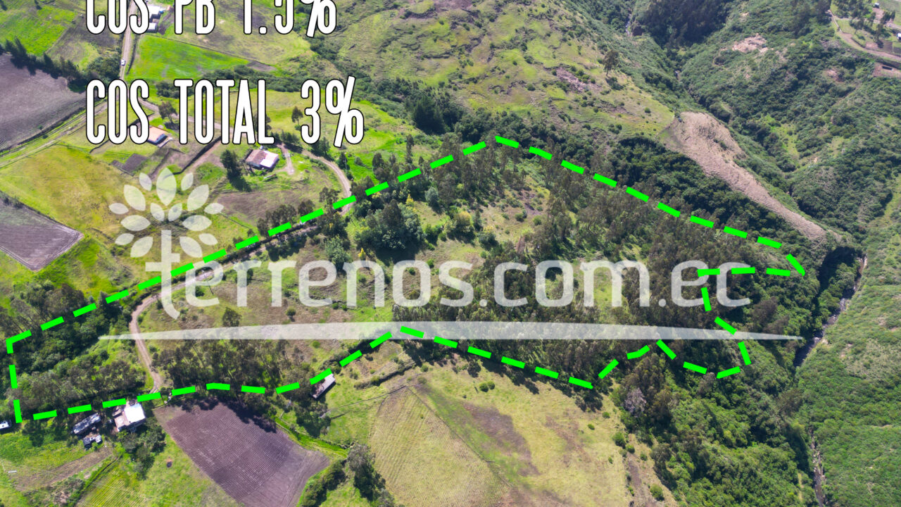 Mesa de trabajo 2