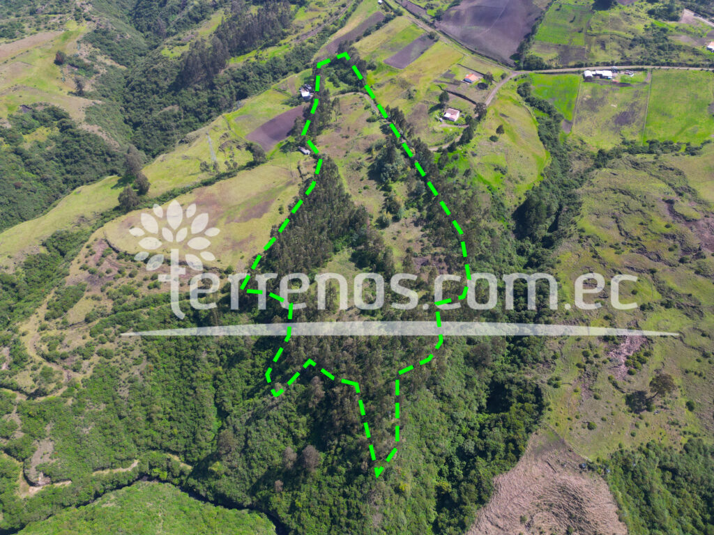 Vista adicional de terreno en venta en Pifo, Quito, Pichincha
