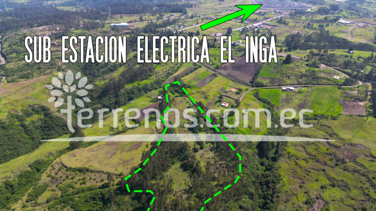 Mesa de trabajo 5