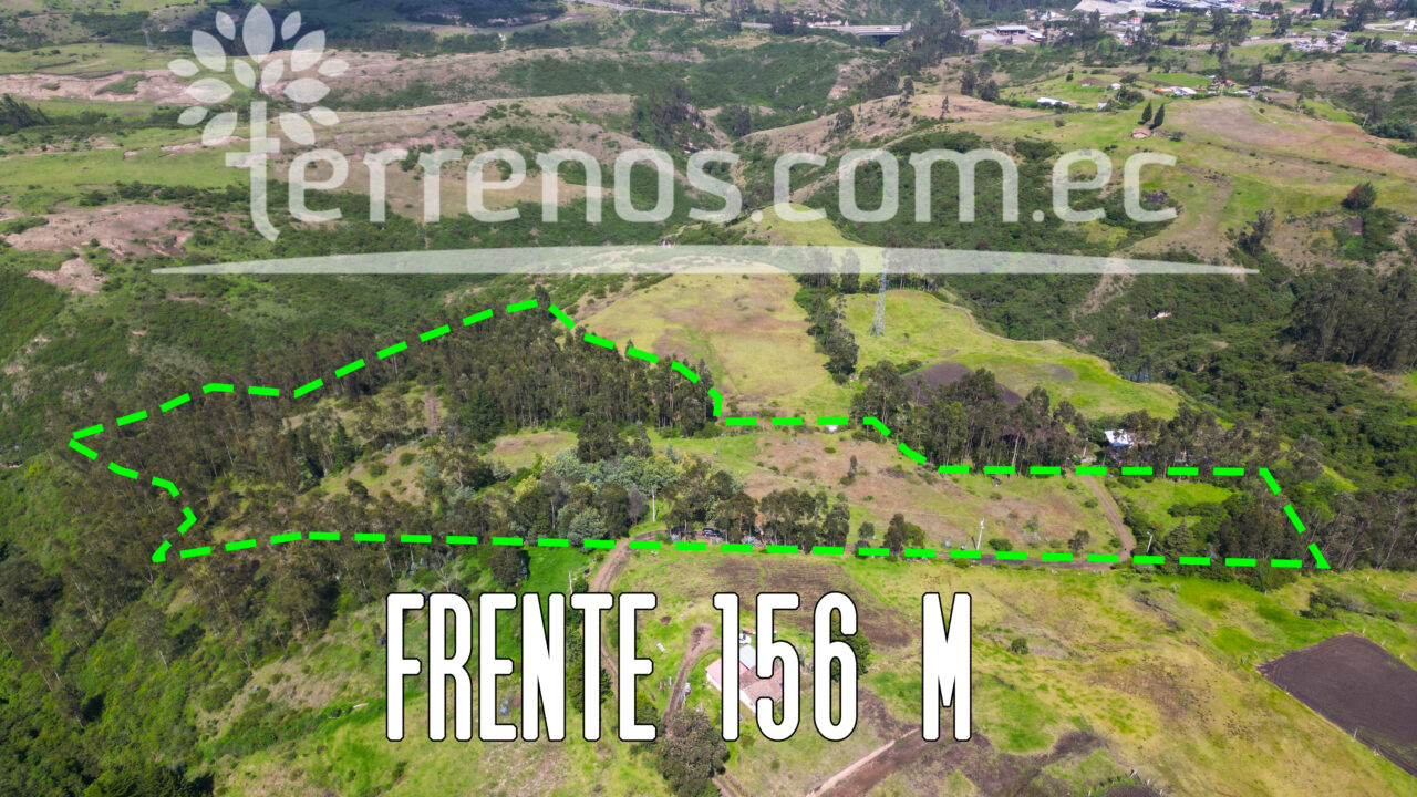 Mesa de trabajo 7