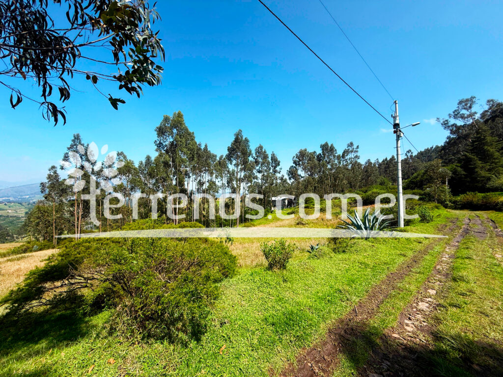 Vista adicional de terreno en venta en Pifo, Quito, Pichincha