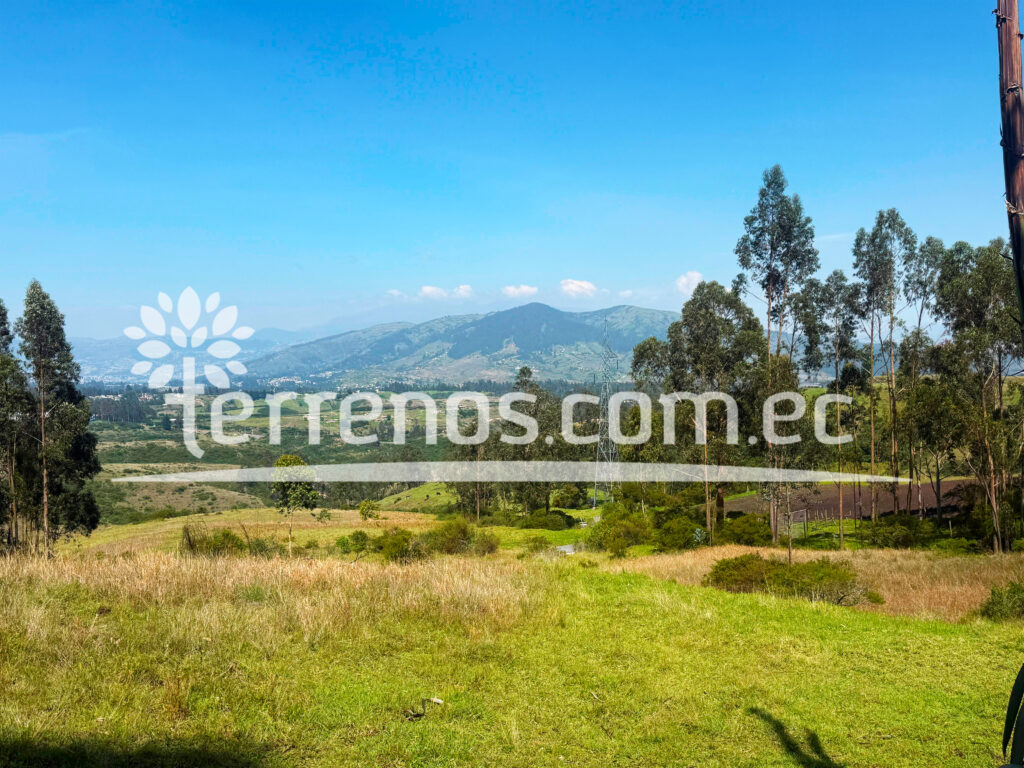 Vista adicional de terreno en venta en Pifo, Quito, Pichincha