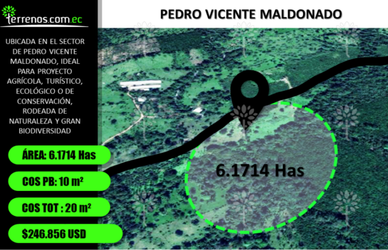 Terreno de venta en Pedro Vicente Maldonado 6.17 Has