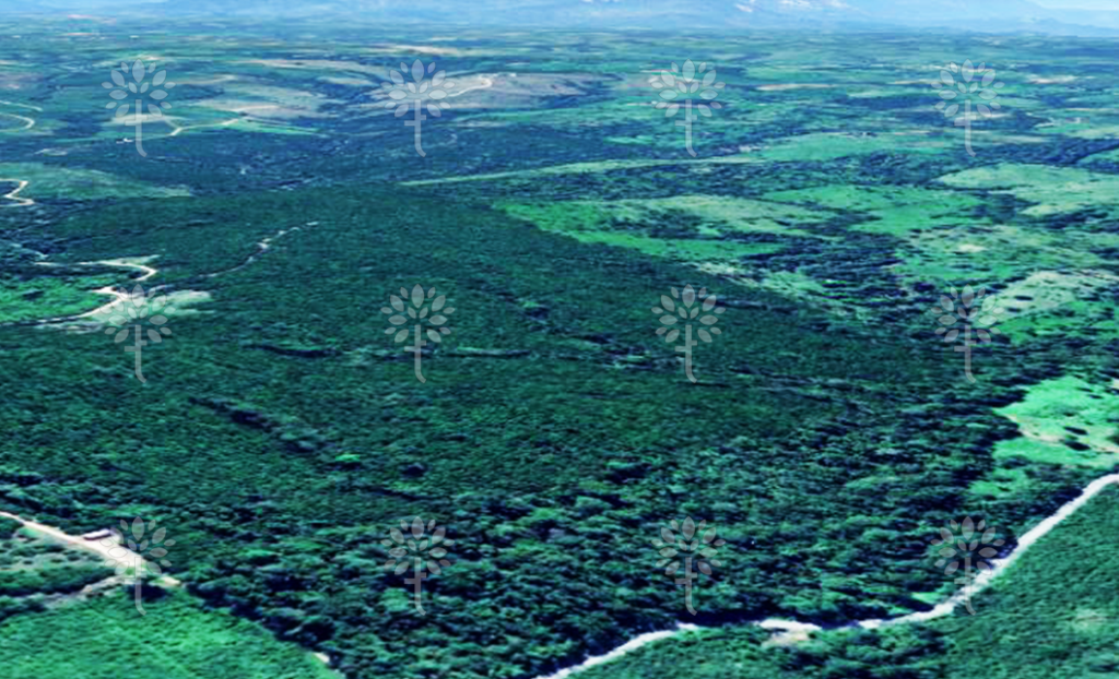 Vista adicional de terreno en venta en Pedro Vicente Maldonado, Pichincha