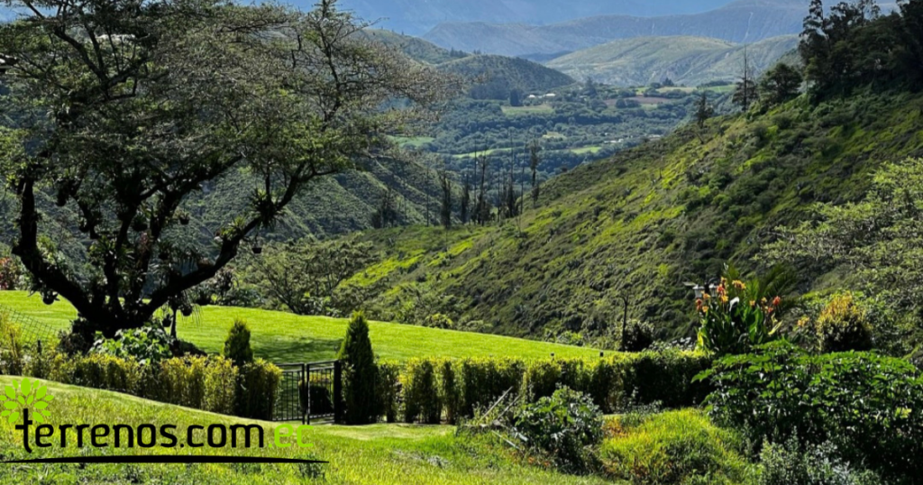 Vista adicional de terreno en venta en Checa, Quito, Pichincha