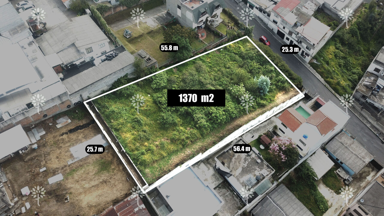 Dron 1