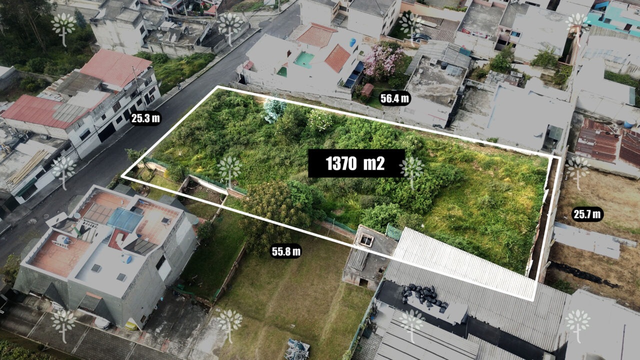 Dron 2