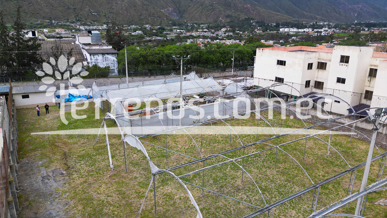 Mesa de trabajo 1 (2)