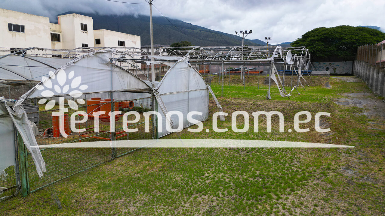Mesa de trabajo 3 (3)