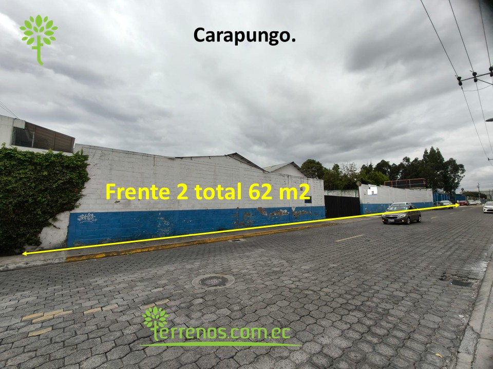 Diapositiva10