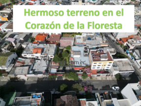 Terreno de venta en La Floresta 750 m2, Quito
