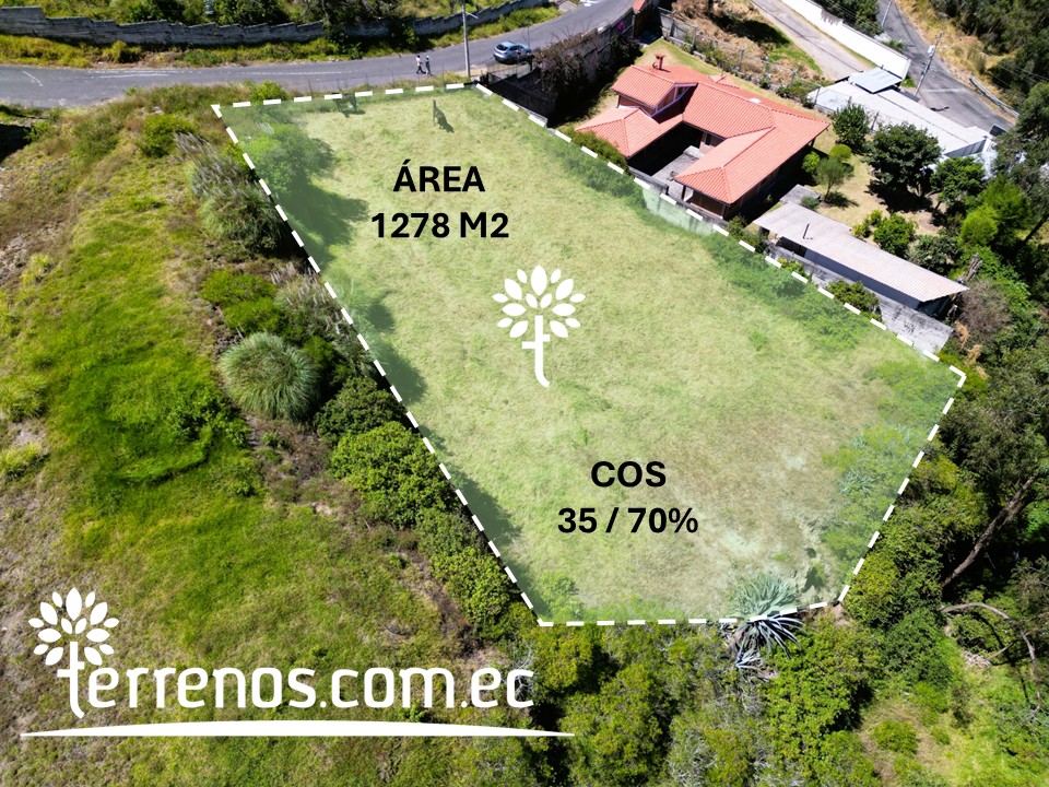 Slide5