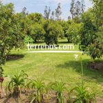 Vista adicional de terreno en venta en Puembo, Quito, Pichincha