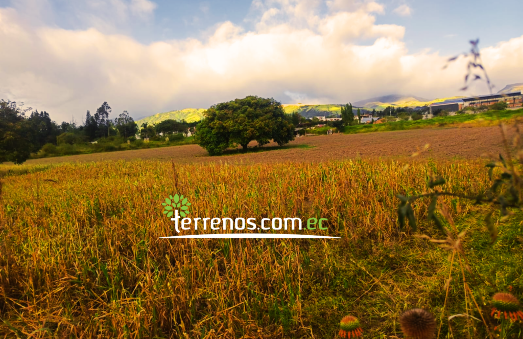 Vista adicional de terreno en venta en Puembo, Quito, Pichincha