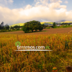 Vista adicional de terreno en venta en Puembo, Quito, Pichincha