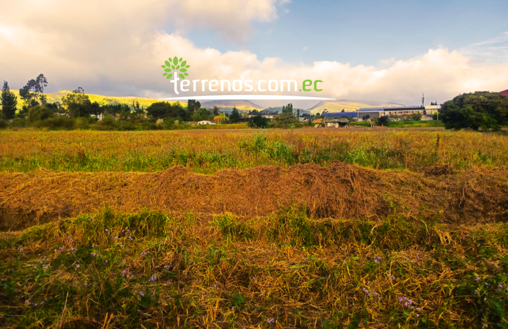 Vista adicional de terreno en venta en Puembo, Quito, Pichincha