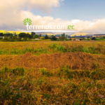 Vista adicional de terreno en venta en Puembo, Quito, Pichincha