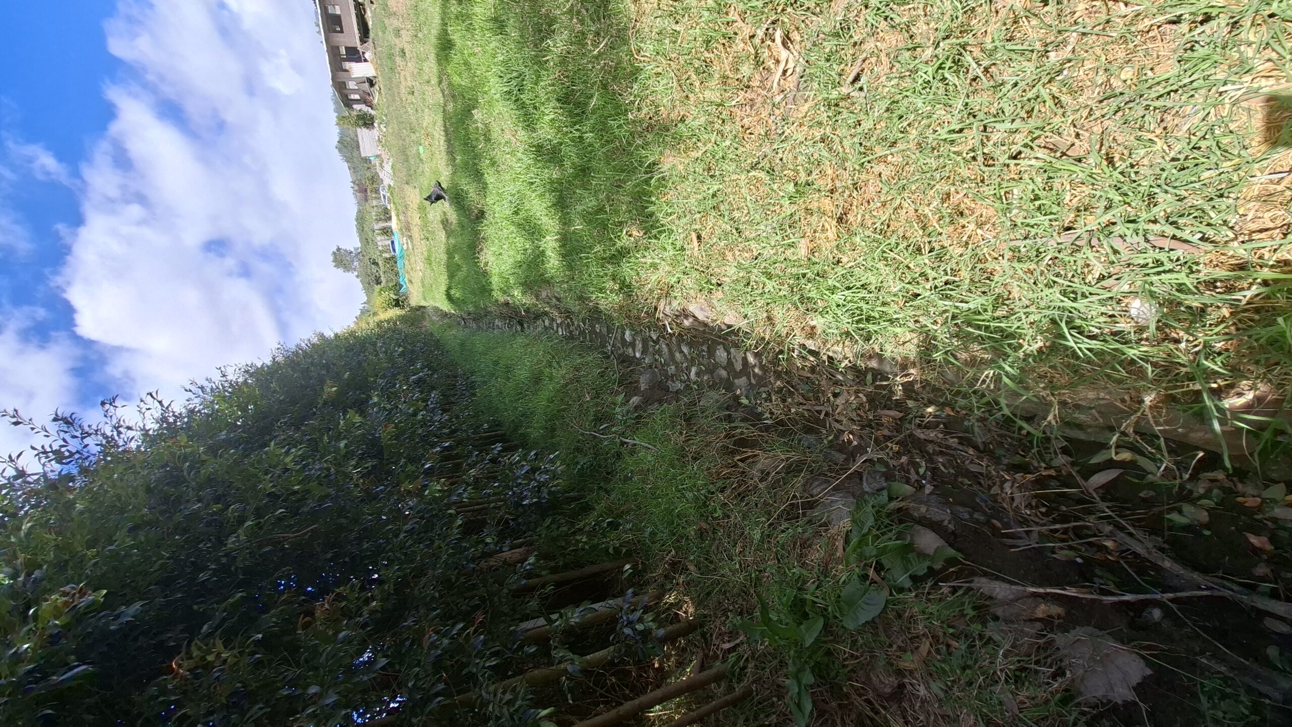 Vista adicional de terreno en venta en El Quinche, Quito, Pichincha
