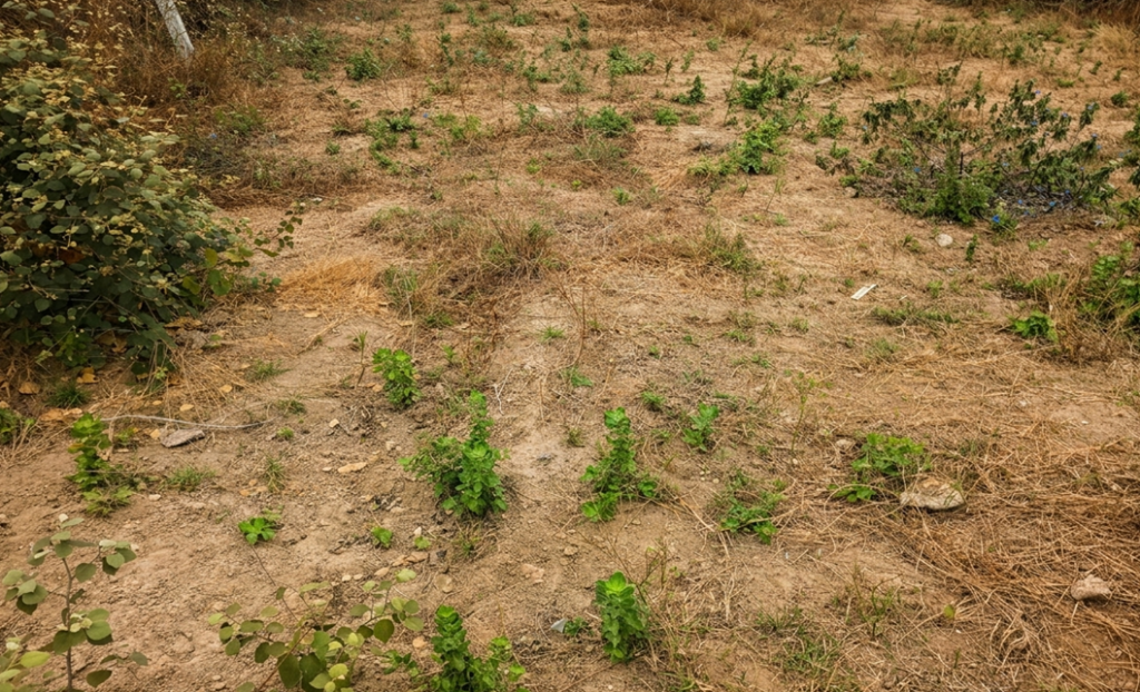 Vista adicional de terreno en venta en Punta Blanca, Santa Elena