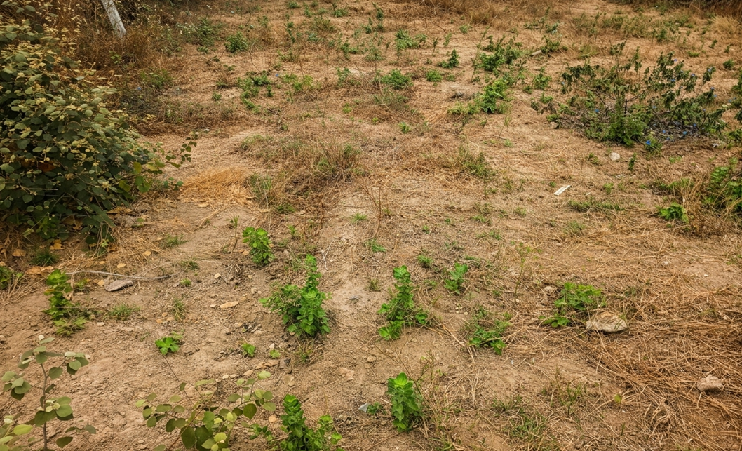 Vista adicional de terreno en venta en Punta Blanca, Santa Elena