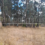 Vista adicional de terreno en venta en Cumbayá, Quito, Pichincha