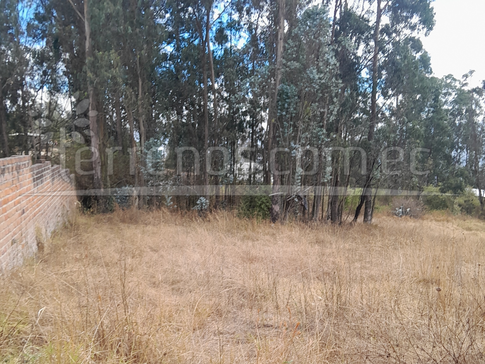 Vista adicional de terreno en venta en Cumbayá, Quito, Pichincha