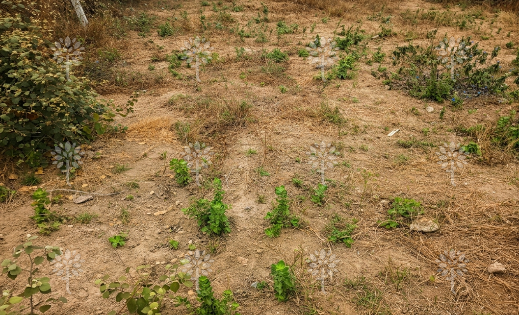 Vista adicional de terreno en venta en Punta Blanca, Santa Elena