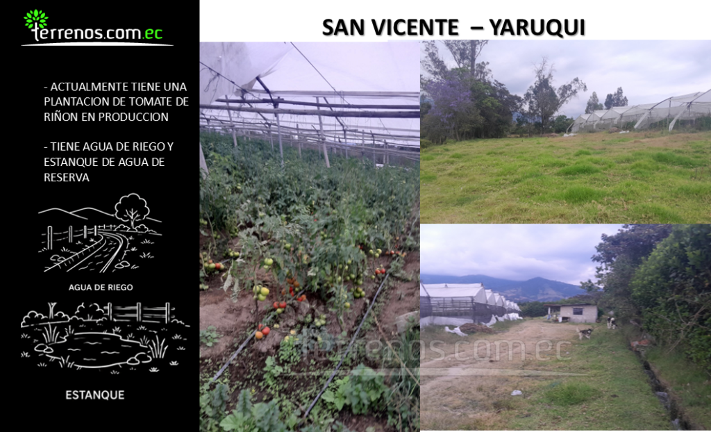 Vista adicional de terreno en venta en Yaruqui, Quito, Pichincha