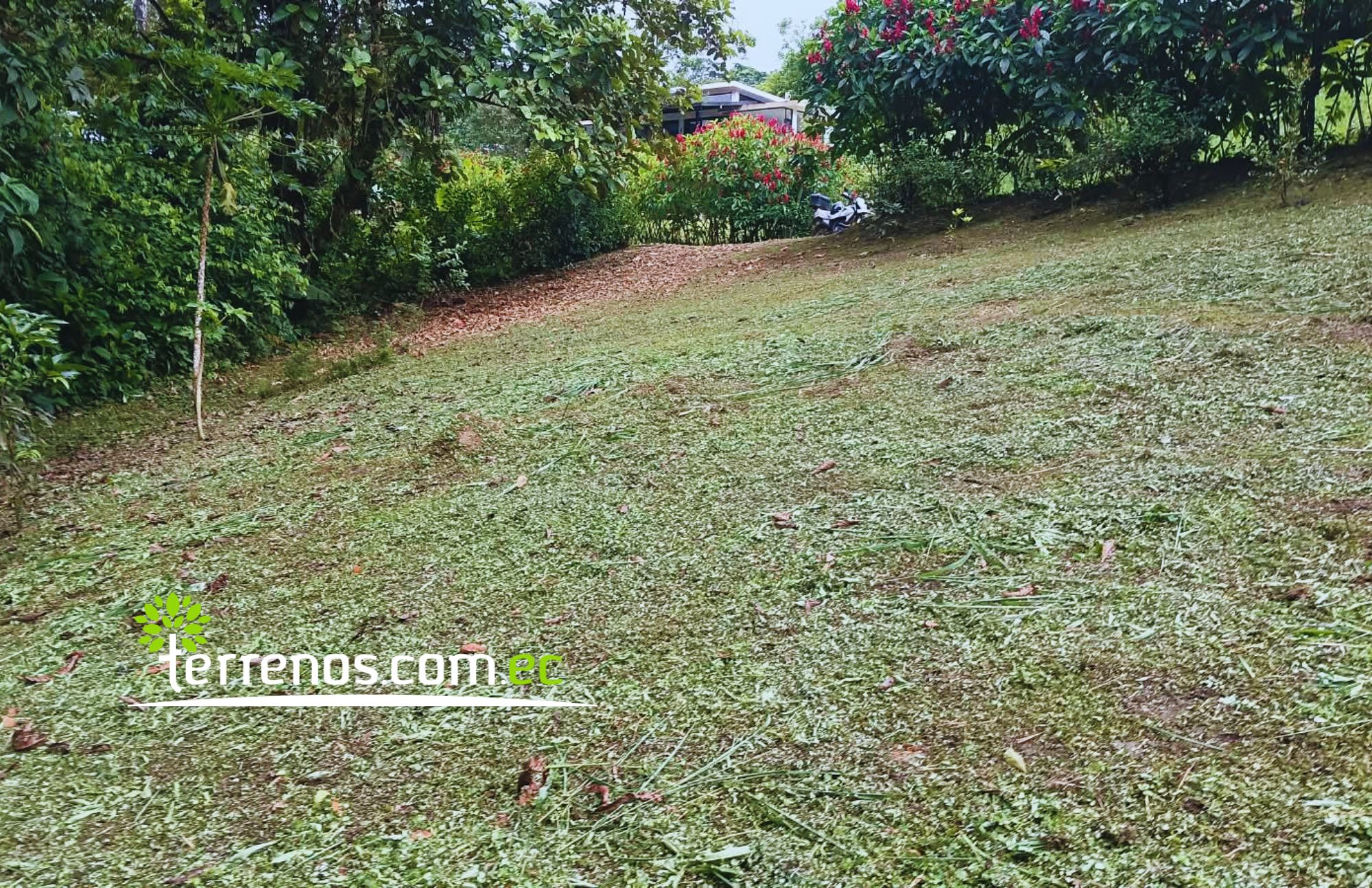Vista adicional de terreno en venta en Pedro Vicente Maldonado, Pichincha