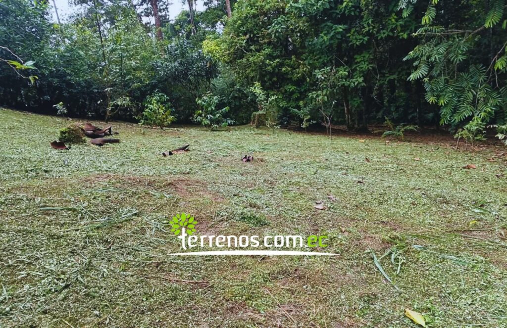 Vista adicional de terreno en venta en Pedro Vicente Maldonado, Pichincha