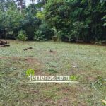 Vista adicional de terreno en venta en Pedro Vicente Maldonado, Pichincha