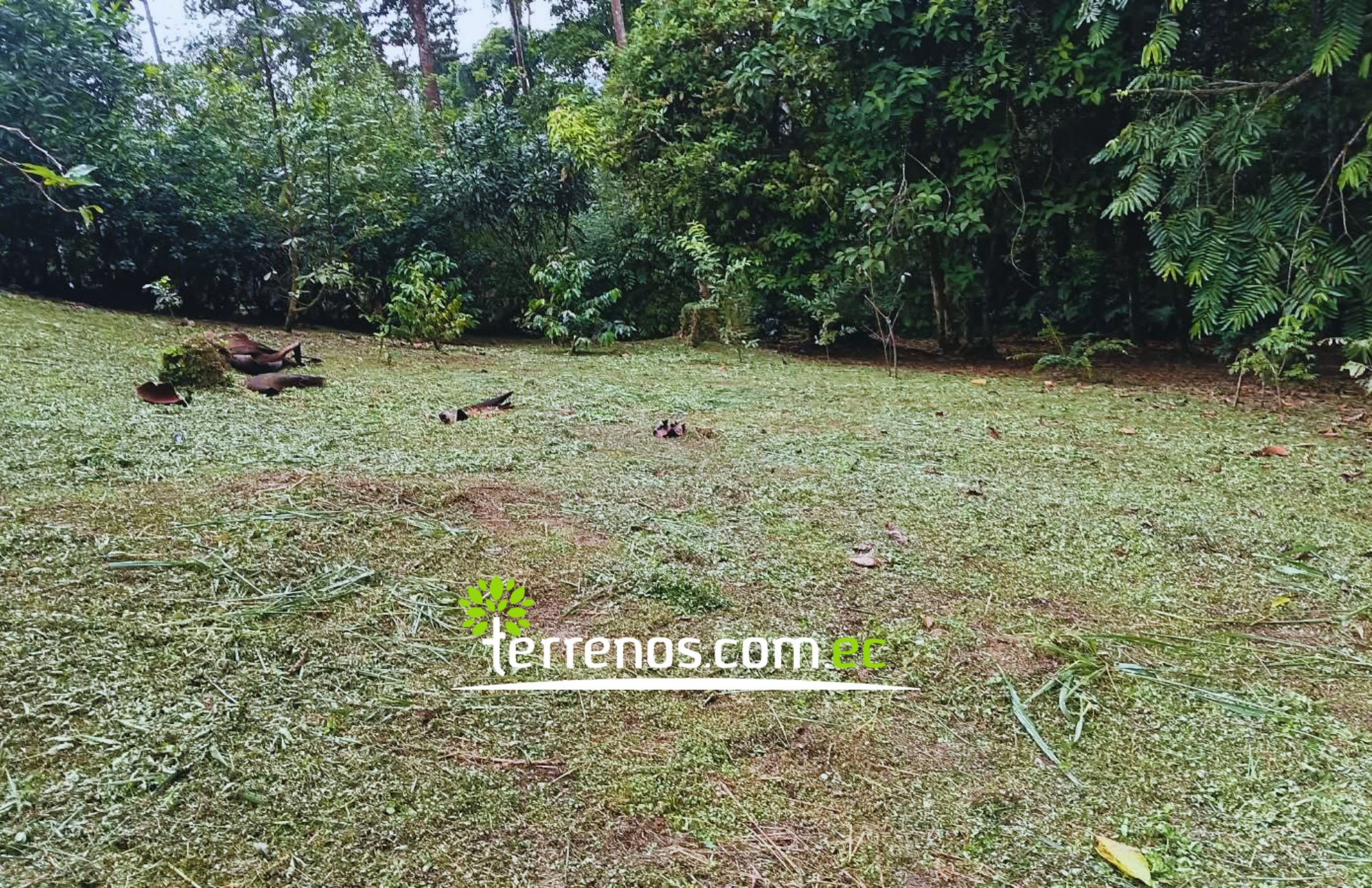 Vista adicional de terreno en venta en Pedro Vicente Maldonado, Pichincha