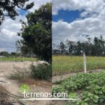 Vista adicional de terreno en venta en Guayllabamba, Quito, Pichincha