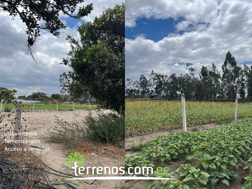 Vista adicional de terreno en venta en Guayllabamba, Quito, Pichincha