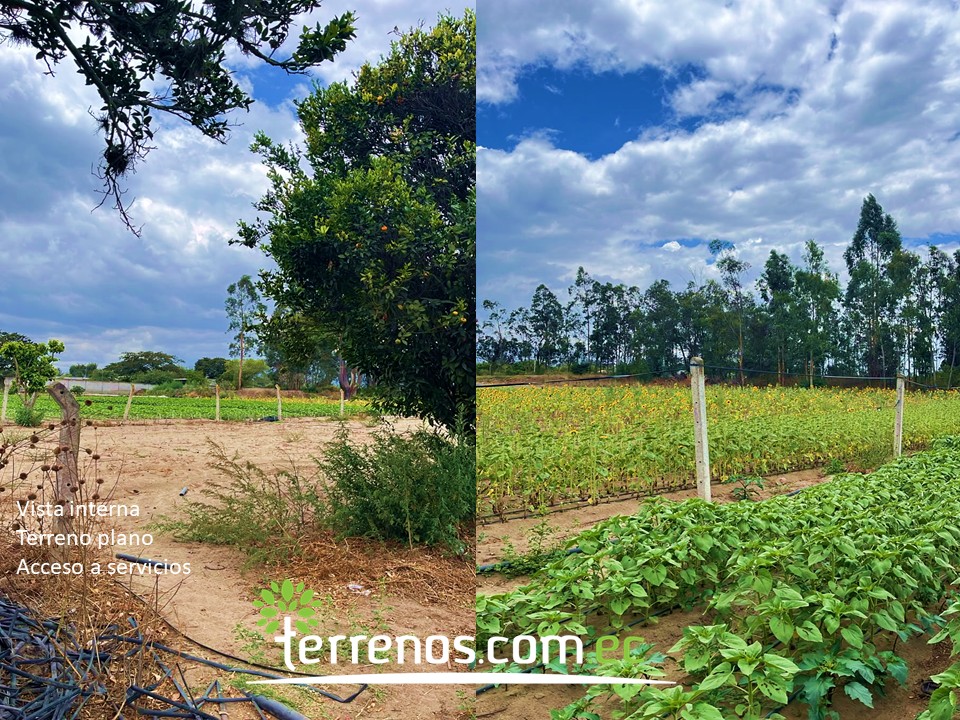 Vista adicional de terreno en venta en Guayllabamba, Quito, Pichincha