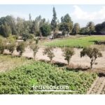 Vista adicional de terreno en venta en Guayllabamba, Quito, Pichincha