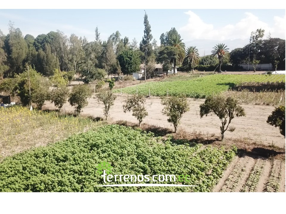 Vista adicional de terreno en venta en Guayllabamba, Quito, Pichincha