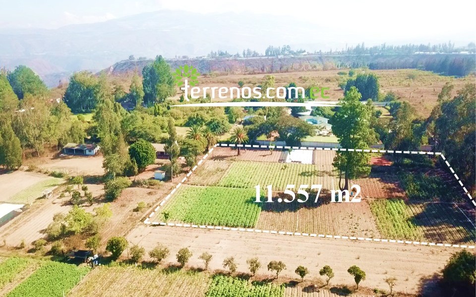 Vista adicional de terreno en venta en Guayllabamba, Quito, Pichincha