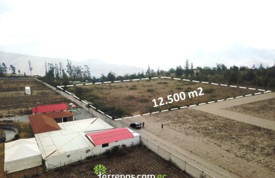 Venta de terreno 12.000m2 plano en Malchingui (San Juan)