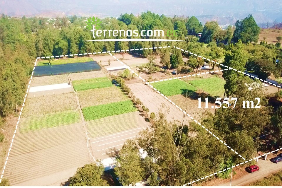 Vista adicional de terreno en venta en Guayllabamba, Quito, Pichincha
