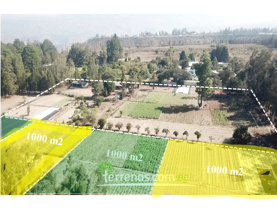 Vista adicional de terreno en venta en Guayllabamba, Quito, Pichincha