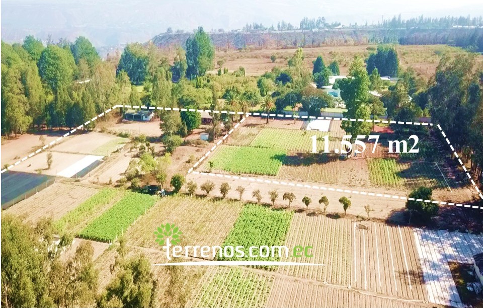 Vista adicional de terreno en venta en Guayllabamba, Quito, Pichincha