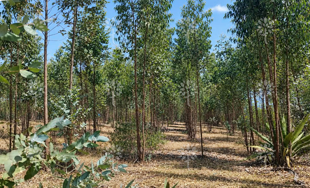 Vista adicional de terreno en venta en Yaruqui, Quito, Pichincha