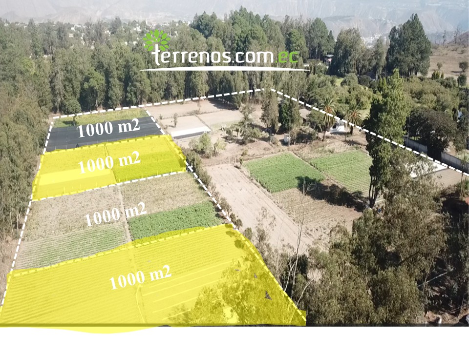 Vista adicional de terreno en venta en Guayllabamba, Quito, Pichincha