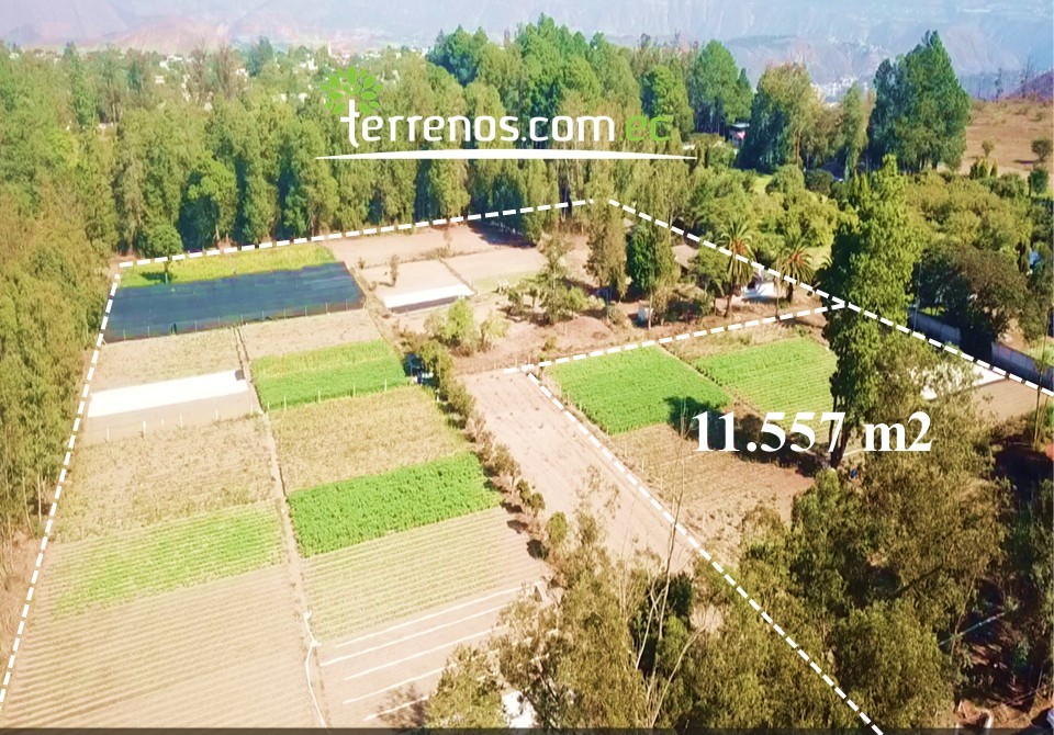 Vista adicional de terreno en venta en Guayllabamba, Quito, Pichincha