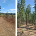 Vista adicional de terreno en venta en Yaruqui, Quito, Pichincha