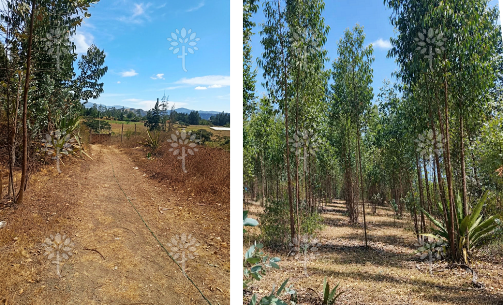 Vista adicional de terreno en venta en Yaruqui, Quito, Pichincha