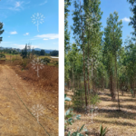 Vista adicional de terreno en venta en Yaruqui, Quito, Pichincha